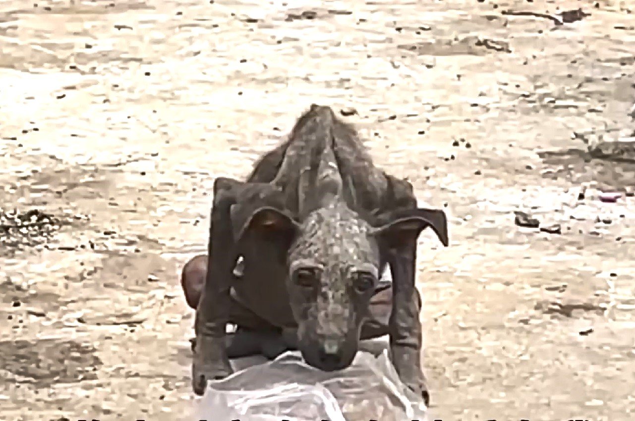 From Garbage to Grace Banner