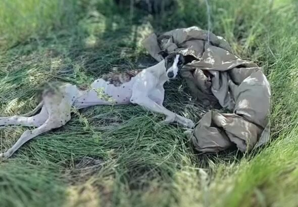 Sarita’s Story, A Second Chance at Life