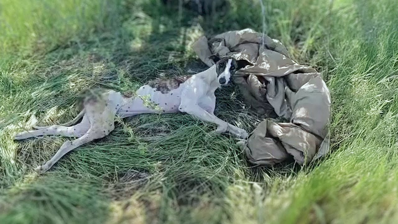 Sarita’s Story, A Second Chance at Life